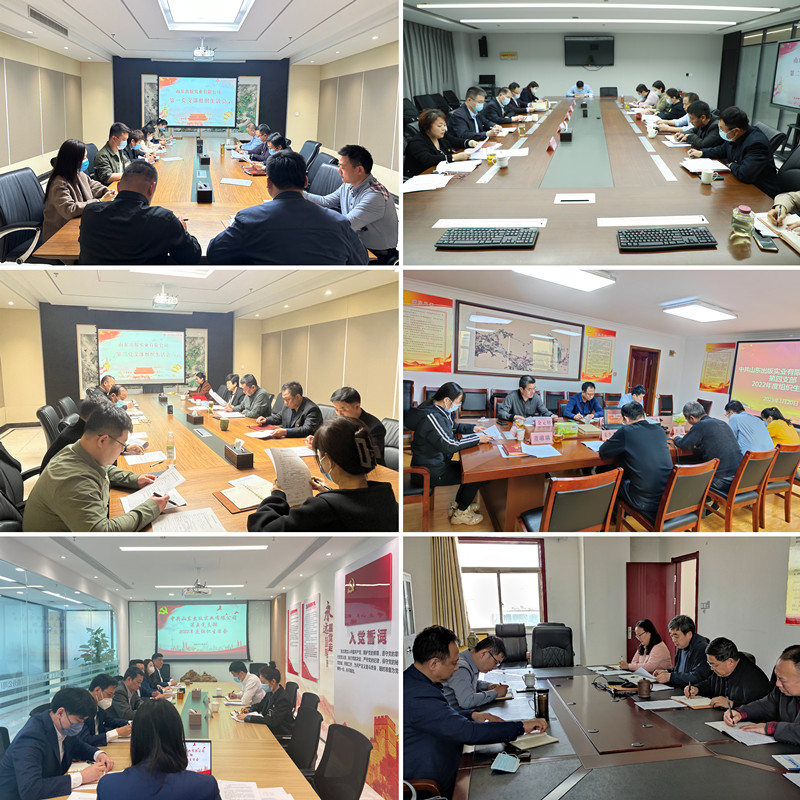實(shí)業(yè)公司各黨支部圓滿(mǎn)完成2022年度組織生活會(huì)和民主評(píng)議黨員工作